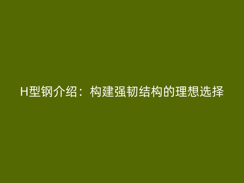 H型钢介绍：构建强韧结构的理想选择