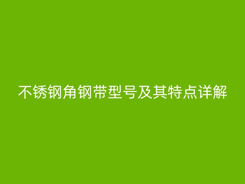 不锈钢角钢带型号及其特点详解