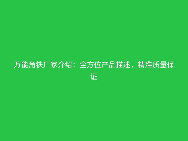万能角铁厂家介绍：全方位产品描述，精准质量保证