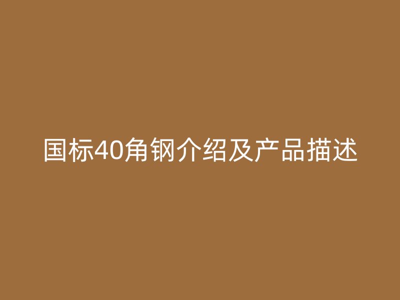 国标40角钢介绍及产品描述