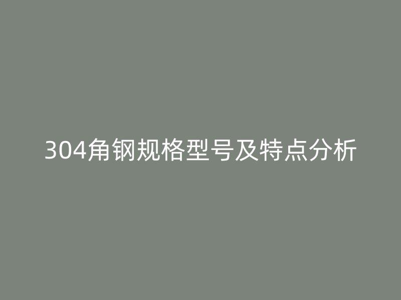304角钢规格型号及特点分析