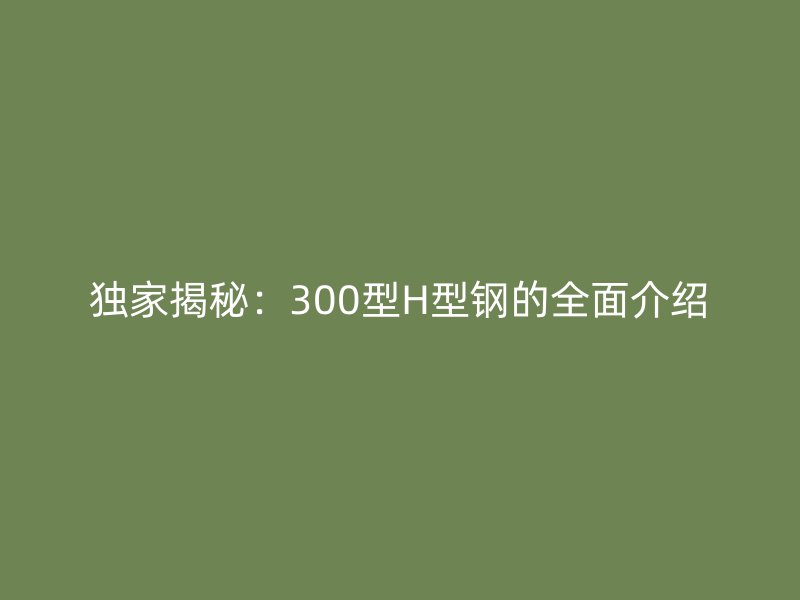 独家揭秘：300型H型钢的全面介绍