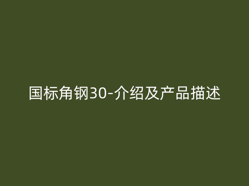 国标角钢30-介绍及产品描述